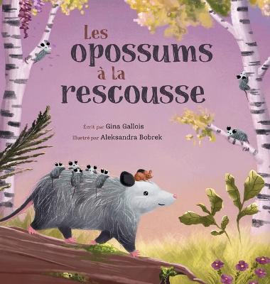 Book cover for Les opossums a la rescousse