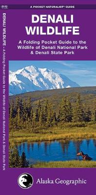 Book cover for Denali Wildlife