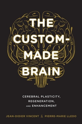 Book cover for The Custom-Made Brain