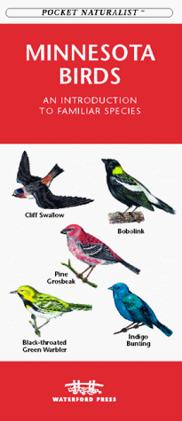 Cover of Minnesota Birds
