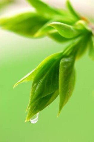 Cover of The Morning Dew of Spring about to Drop from a Leaf