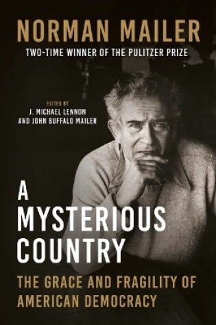 Cover of A Mysterious Country