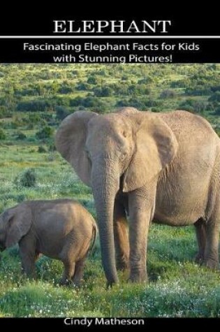 Cover of Elephant