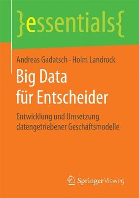 Book cover for Big Data für Entscheider