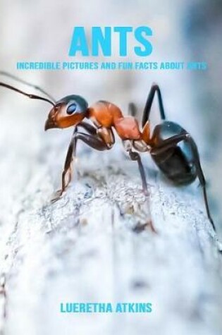 Cover of Ants