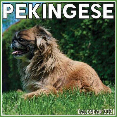 Book cover for Pekingese Calendar 2021