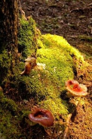 Cover of Mushroom and Moss on the Forest Floor in Autumn Journal