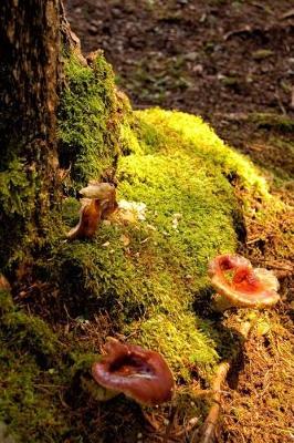 Book cover for Mushroom and Moss on the Forest Floor in Autumn Journal