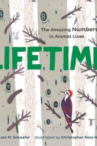 Cover of Lifetime