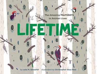 Book cover for Lifetime