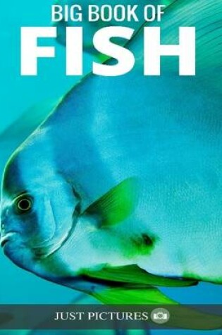 Cover of Fish