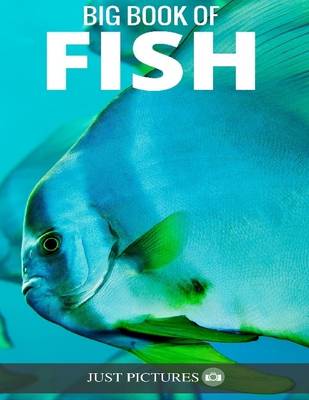 Book cover for Fish