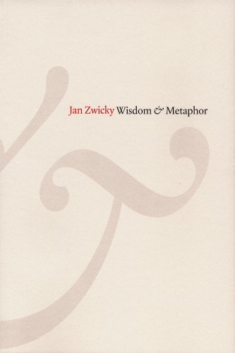 Book cover for Wisdom & Metaphor