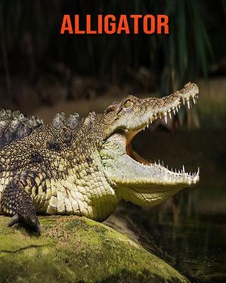 Book cover for Alligator