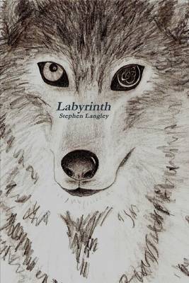 Book cover for Labyrinth