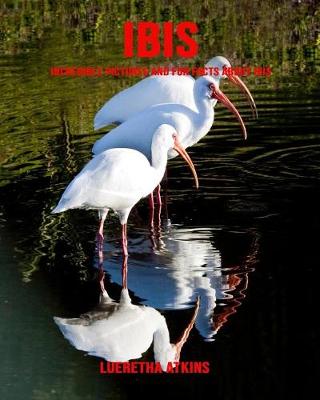 Book cover for Ibis