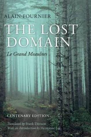 Cover of The Lost Domain