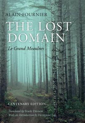 Book cover for The Lost Domain
