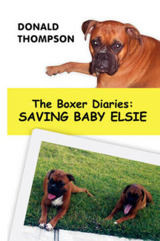 Cover of The Boxer Diaries