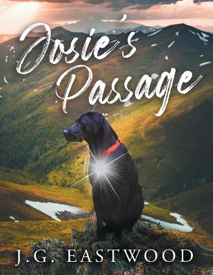 Book cover for Josie's Passage