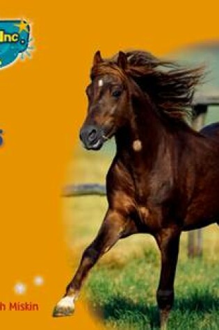 Cover of RWI Non-Fiction Set 4 (Orange): Horses - Book 2