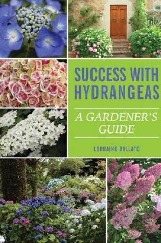 Cover of Success With Hydrangeas