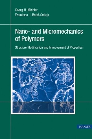 Cover of Nano- and Micromechanics of Polymers