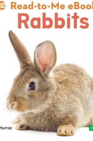 Cover of Rabbits