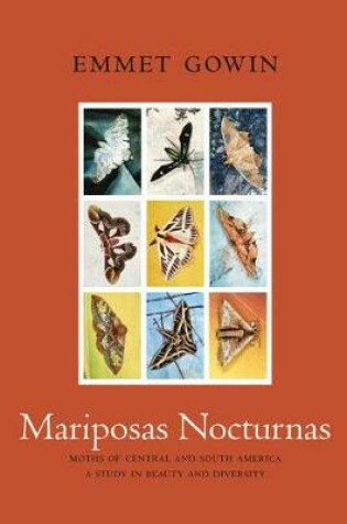 Cover of Mariposas Nocturnas