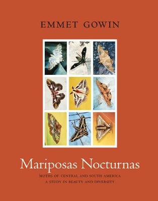 Book cover for Mariposas Nocturnas