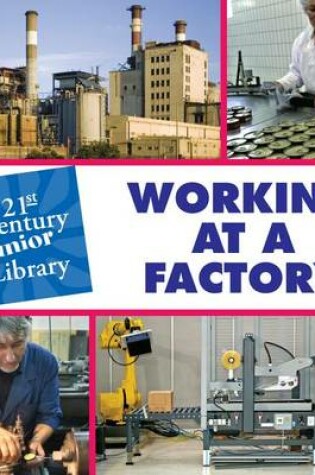 Cover of Working at a Factory