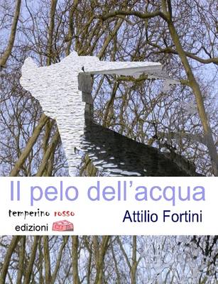 Book cover for Il Pelo Dell'Acqua