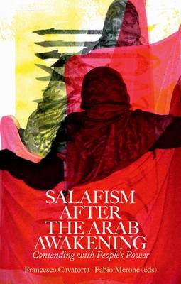 Cover of Salafism After the Arab Awakening