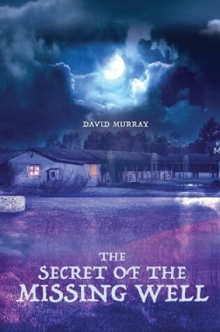 Cover of The Secret of the Missing Well