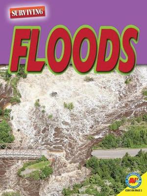 Book cover for Floods