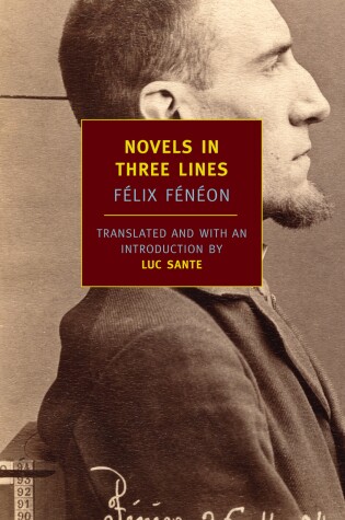 Cover of Novels In Three Lines