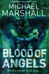 Book cover for Blood of Angels