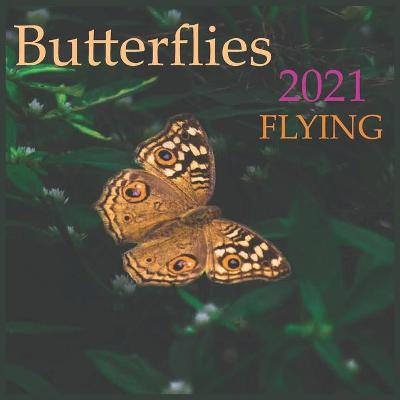 Book cover for Butterflies FLYING