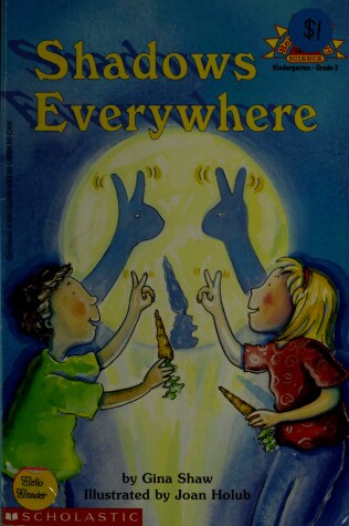 Book cover for Shadows Everywhere