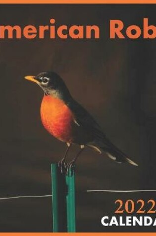 Cover of American Robin