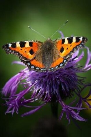 Cover of Orange and Black Butterfly on a Purple Flower in the Summer Journal