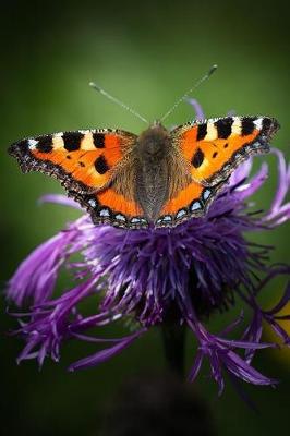 Book cover for Orange and Black Butterfly on a Purple Flower in the Summer Journal