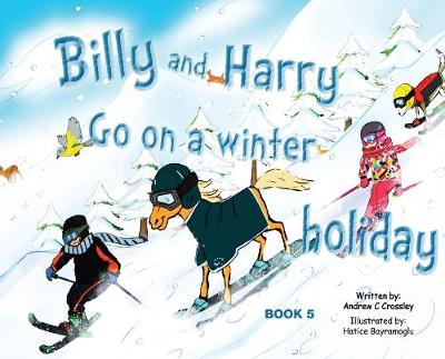 Book cover for Billy and Harry Go on a Winter Holiday