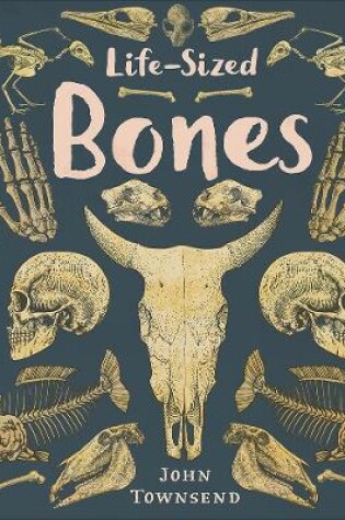 Cover of Life-Sized Bones