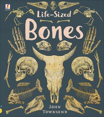 Book cover for Life-Sized Bones