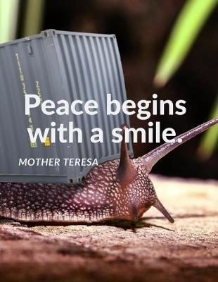 Book cover for "Peace begins with a smile."