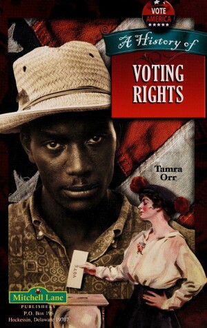 Book cover for A History of Voting Rights in America