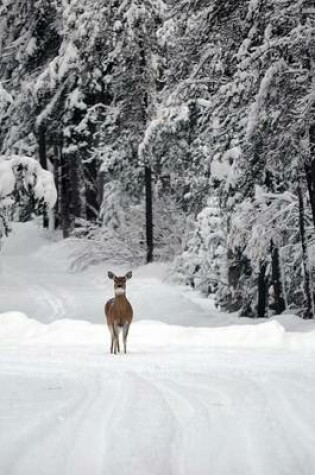 Cover of A Deer on a Snow Covered Road in Montana