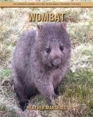 Book cover for Wombat