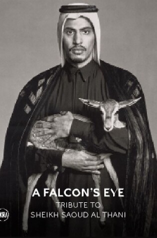 Cover of A Falcon’s Eye